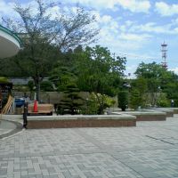 Japanese garden?, Иваки