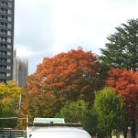 Enjoy the autumn colors, Иваки