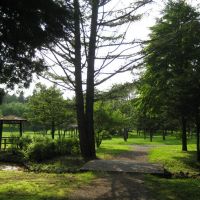 野付牛公園～夏の昼下がり, Китами