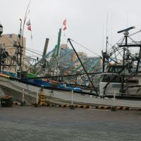 釧路港 サンマ漁船 2009/08/28, Куширо