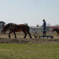 Obihiro BANNEI Horse race cource,Training （帯広ばんえい競馬場、調教風景）, Обихиро