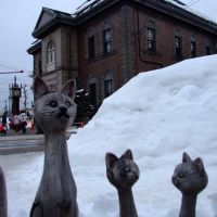 Cats in Otaru, Отару