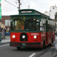 小樽散策バス, Отару