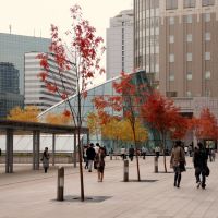 Fall Colors @ Sapporo Station, Саппоро