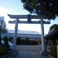 Hatsushima Inari Jinja Shrine　初島稲荷神社（出世稲荷宮）鳥居, Амагасаки