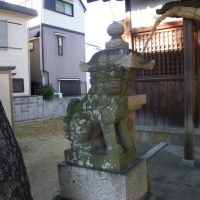 Nakakema Inari Jinja Shrine　中食満 稲荷神社 狛犬 吽形, Итами