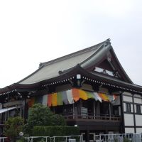 園満寺本堂, Какогава