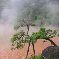 Hot Springs Hell, Тоёока