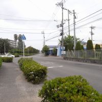 東鳥生町 [2011.05], Имабари