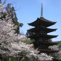 Pagoda in Spring, Ивакуни
