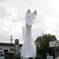 湯田温泉駅の白狐, Ивакуни