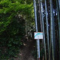 厳島神社周辺, Онода