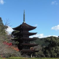 Ruriko-ji Temple/Yamaguchi, Хаги