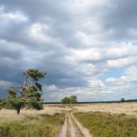 Sun and dark clouds over Deelerwoud gives fantastic views when walking! Sunday 1 July 2012, Нижмеген