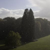 Park van Rhederoord in de regen, Реден
