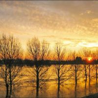 Here comes the flood - Sunrise on the river Maas, Venlo, The Netherlands, Венло