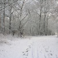 Winter in Horn, Керкрад