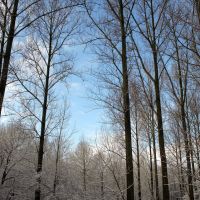 Winter in "t Brook", Керкрад