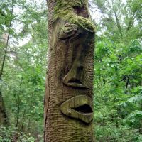 Baum mit Gesicht, Керкрад