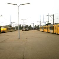 Twee treinen (juni 1983), Велсен