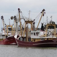 Fishtrawlers, Den Helder., Ден-Хельдер