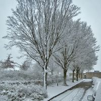 First snow falling at the Akkerstraat, Helmond, Хелмонд