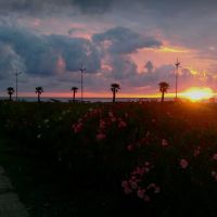 sunset, Батуми