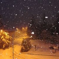 Snowy Abasha, Абаша