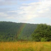 rainbow, Дманиси