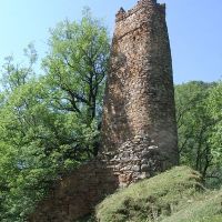 დავითურები ,ზურგიანი კოშკი.defensive tower in Daviturebi(GEORGIA), Пасанаури
