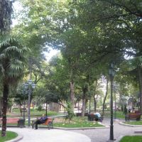 Тбилиси-Александровский сад, Тбилиси