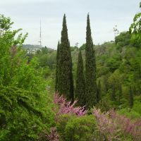 Tbilisi Botanical Garden, Тбилиси