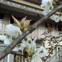 My home in spring, Ткибули