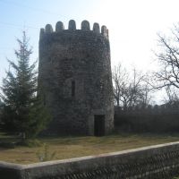 Castle in Tskhramukha, Хашури