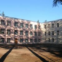 I sashualo skola, Цаленджиха