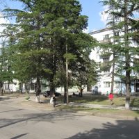 The street, Цхалтубо