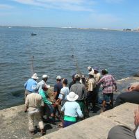 Fishermen pulling in the net - June 2005, Александрия