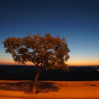 рассвет в пустыне Негев, Арад