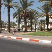 The streets of Ashkelon, Israel, Ашкелон