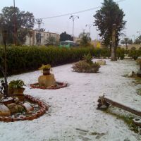 Snow in Dimona, Димона