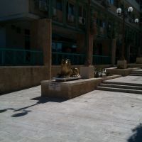 Golden lion, shopping center, Dimona, Димона