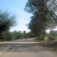 Timorim - Entrance Road, Кирьят-Малахи