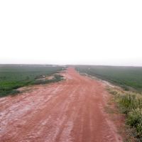 Timorim - Dirt Road Between the Fields, Кирьят-Малахи