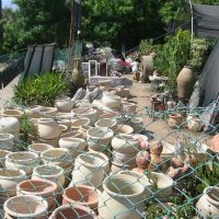open store of ceramic feaches, Кфар Саба