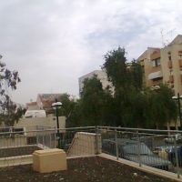 Moshe Sharet st. near the clinic, Кфар Саба