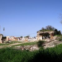 FIELDS OF OLD CITY RAMLA, Рамла
