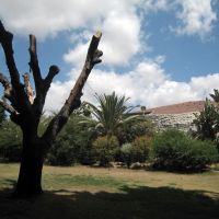 Kfar Hanoar Mosinzon view, Од-а Шарон