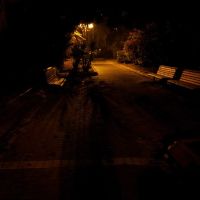 Park at night, Од-а Шарон