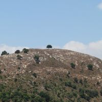Karmiel region, Nahal Hilazon Single tree on Bald Mountain, Israel, Кармиэль