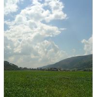 April fields outside of Shaar Haamakim, Кирьят-Тивон